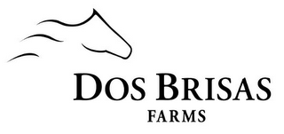 DOS BRISAS FARMS