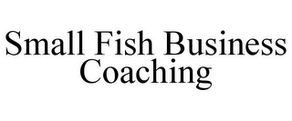 SMALL FISH BUSINESS COACHING