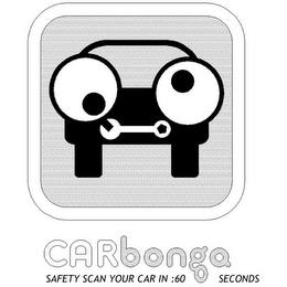 CARBONGA SAFETY SCAN YOUR CAR IN :60 SECONDS