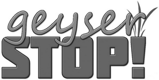 GEYSER STOP!
