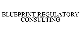 BLUEPRINT REGULATORY CONSULTING