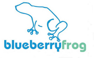 BLUEBERRY FROG