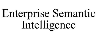 ENTERPRISE SEMANTIC INTELLIGENCE