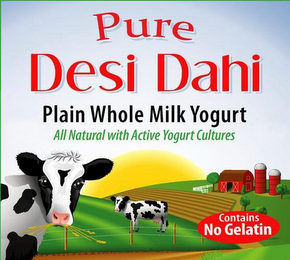 PURE DESI DAHI PLAIN WHOLE MILK YOGURT ALL NATURAL WITH ACTIVE YOGURT CULTURES CONTAINS NO GELATIN REAL