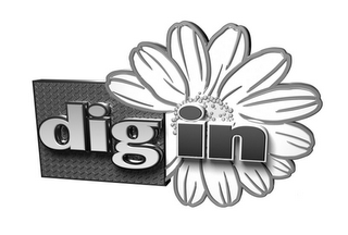 DIG IN