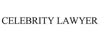 CELEBRITY LAWYER