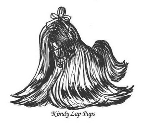 KIMDY LAP PUPS