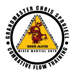 GRANDMASTER CHRIS SPRUIELL COMBATIVE FLOW TRAINING COMBAT STRIKING GROUND FIGHTING MIXED MARTIAL ARTS ISSHIN-JUJITSU