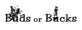 BUDS OR BUCKS