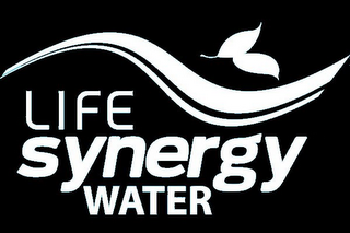 LIFE SYNERGY WATER