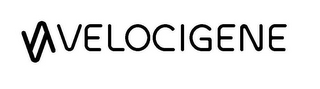VELOCIGENE