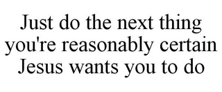 JUST DO THE NEXT THING YOU'RE REASONABLY CERTAIN JESUS WANTS YOU TO DO