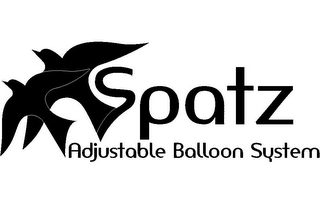 SPATZ ADJUSTABLE BALLOON SYSTEM