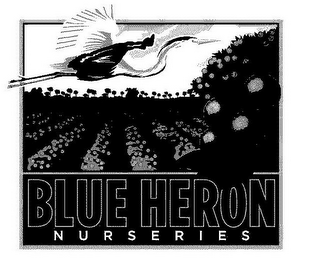 BLUE HERON NURSERIES