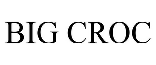 BIG CROC