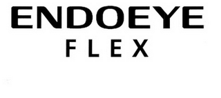 ENDOEYE FLEX