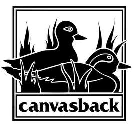 CANVASBACK