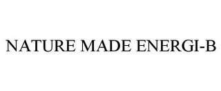 NATURE MADE ENERGI-B