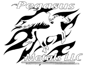 PEGASUS METALS LLC