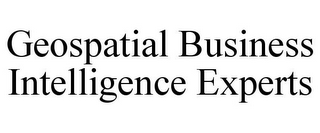 GEOSPATIAL BUSINESS INTELLIGENCE EXPERTS