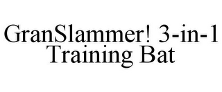 GRANSLAMMER! 3-IN-1 TRAINING BAT