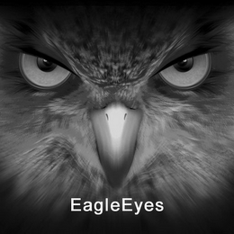 EAGLEEYES