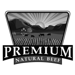 PREMIUM NATURAL BEEF