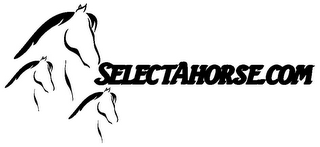 SELECTAHORSE.COM