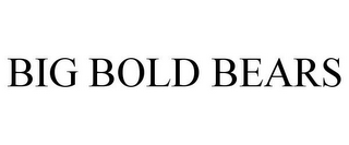 BIG BOLD BEARS