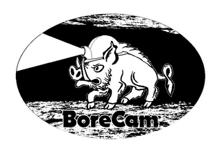 BORECAM