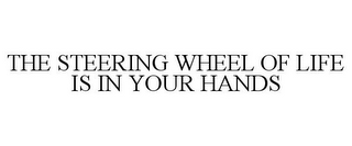 THE STEERING WHEEL OF LIFE IS IN YOUR HANDS