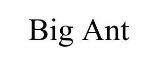 BIG ANT