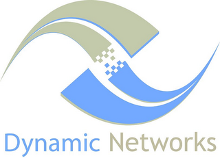 DYNAMIC NETWORKS
