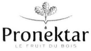 PRONEKTAR LE FRUIT DU BOIS