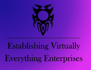 ESTABLISHING VIRTUALLY EVERYTHING ENTERPRISES