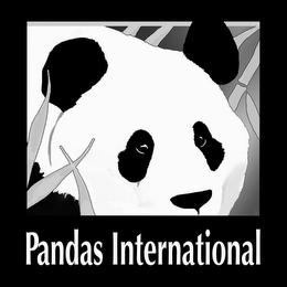 PANDAS INTERNATIONAL