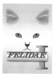 FELIDAE