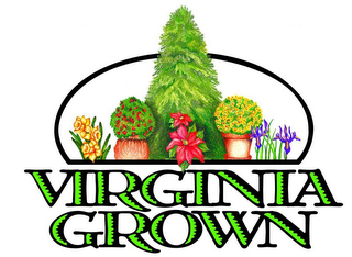 VIRGINIA GROWN