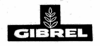 GIBREL