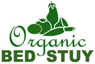 ORGANIC BED STUY