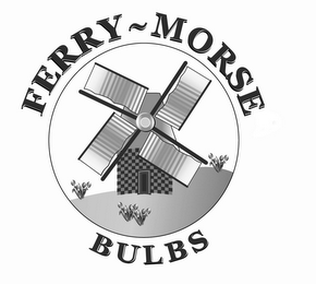 FERRY - MORSE BULBS