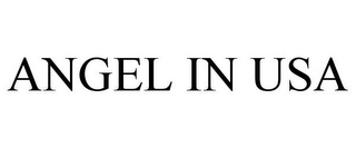 ANGEL IN USA