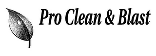 PRO CLEAN & BLAST