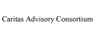 CARITAS ADVISORY CONSORTIUM