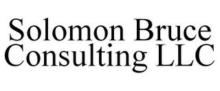 SOLOMON BRUCE CONSULTING LLC