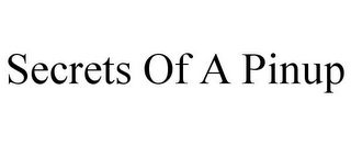 SECRETS OF A PINUP