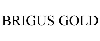 BRIGUS GOLD