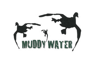 MUDDY WATER