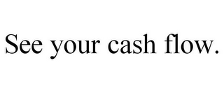 SEE YOUR CASH FLOW.