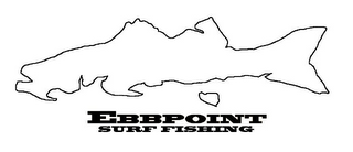 EBBPOINT SURF FISHING